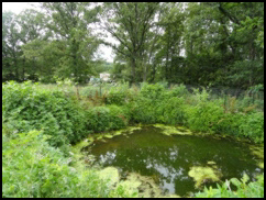 Poorly Maintained Lagoon